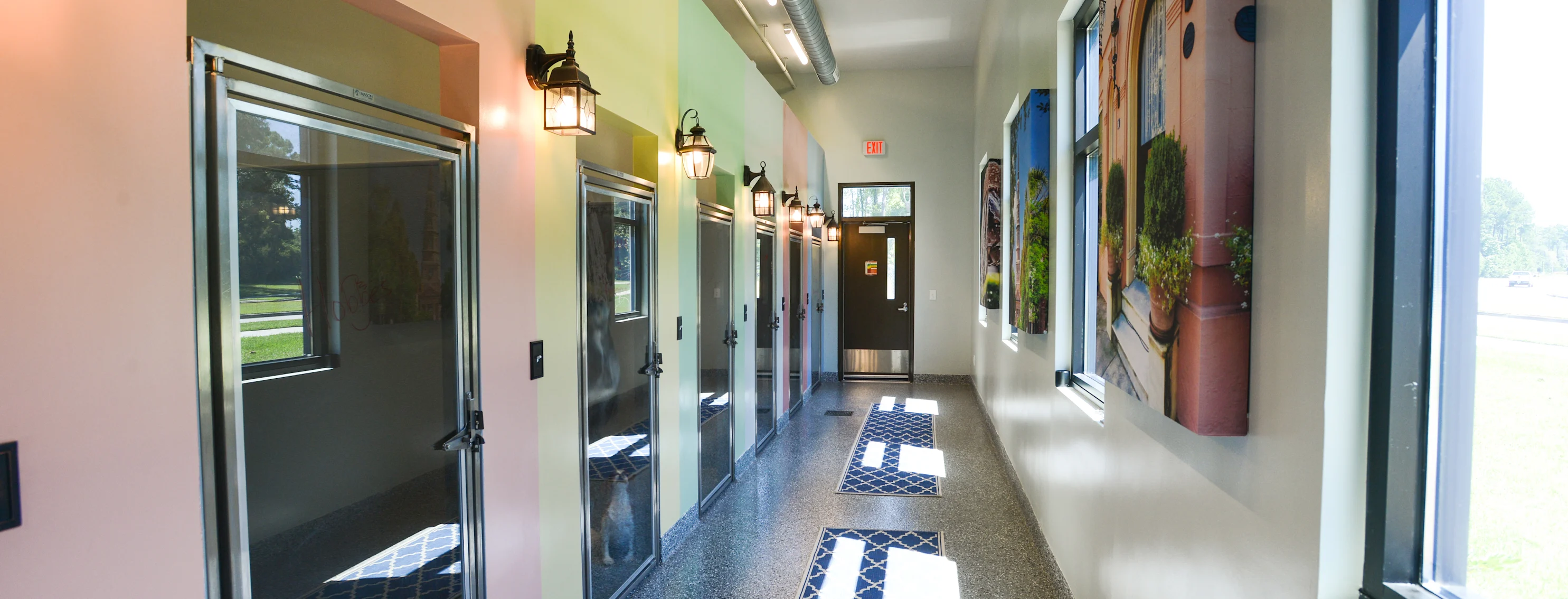 STAY! Luxury boarding facility STAY! Luxury boarding facility