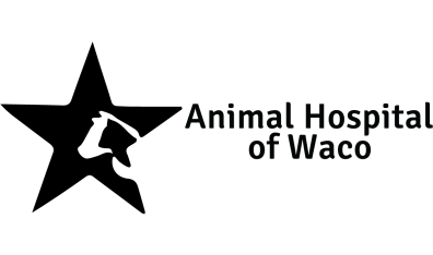 Animal Hospital of Waco Logo
