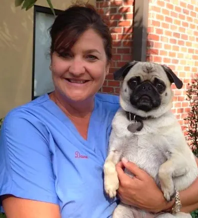 New Staff Member New Staff Member