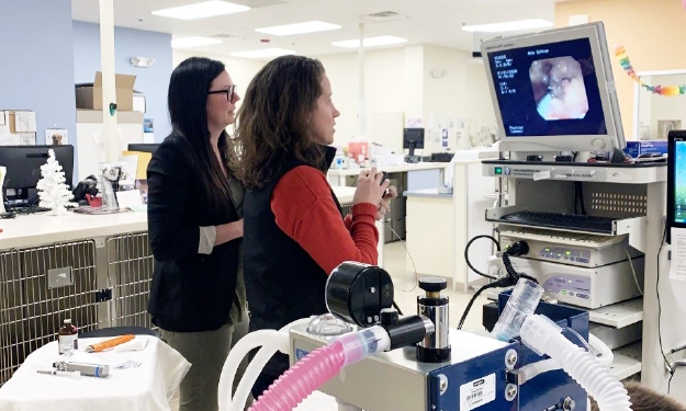 Two employees looking at screen