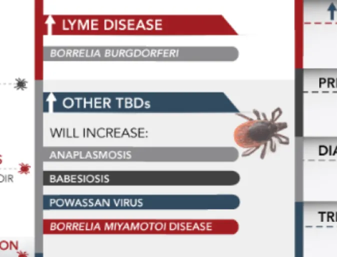 A demographic showcasing what the dangers of ticks and preventions for them. A demographic showcasing what the dangers of ticks and preventions for them.