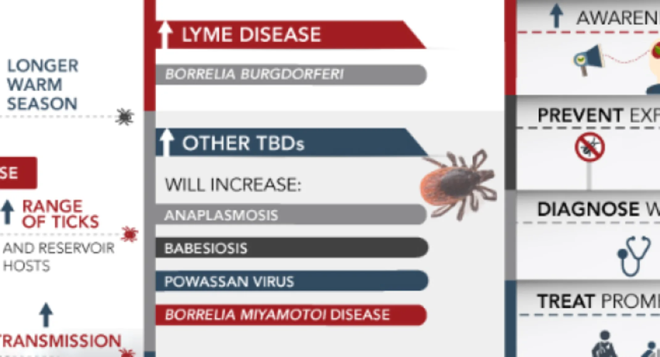 A demographic showcasing what the dangers of ticks and preventions for them. A demographic showcasing what the dangers of ticks and preventions for them.