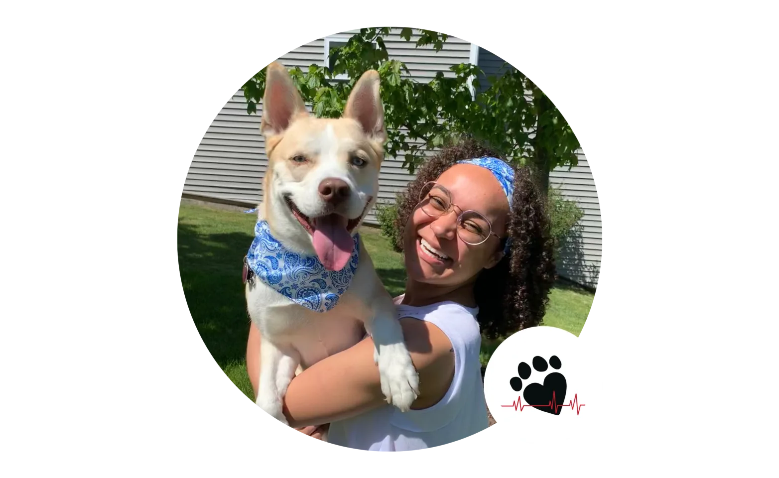 Jayce Perysian Jayce Perysian