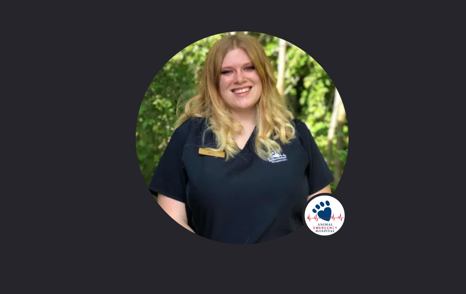 Careers Animal Emergency Hospital