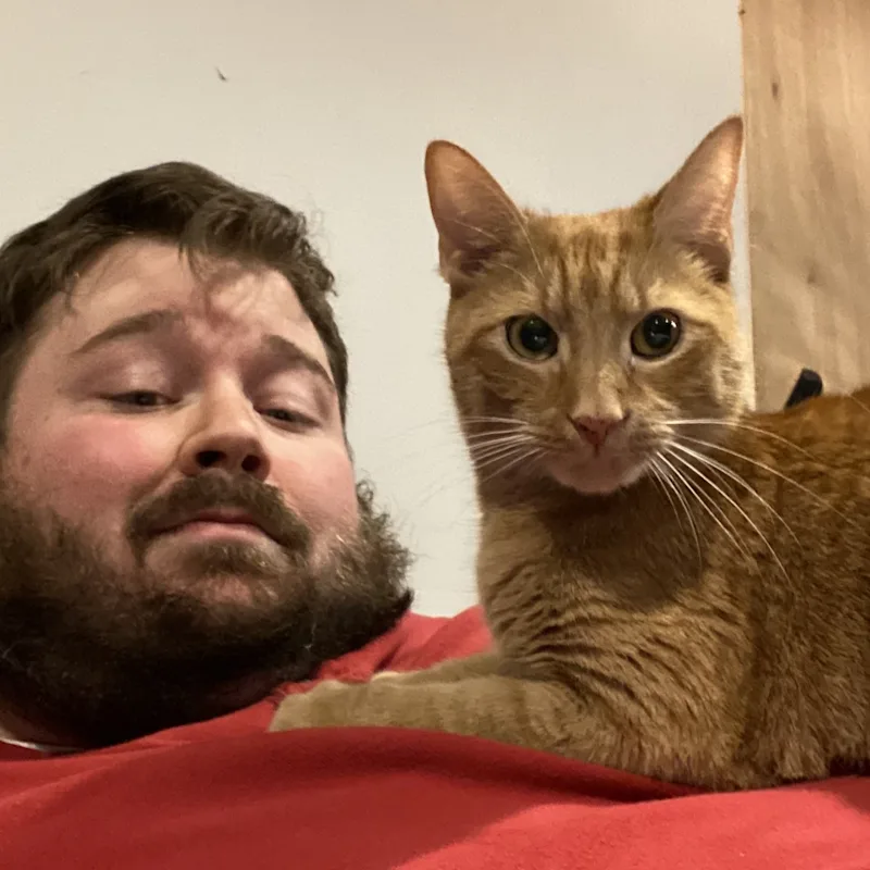 Robert Morton Robert Morton