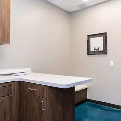 Examination Room Examination Room