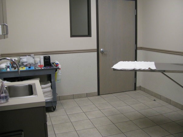 Windhaven Veterinary Hospital Treatment Room and table