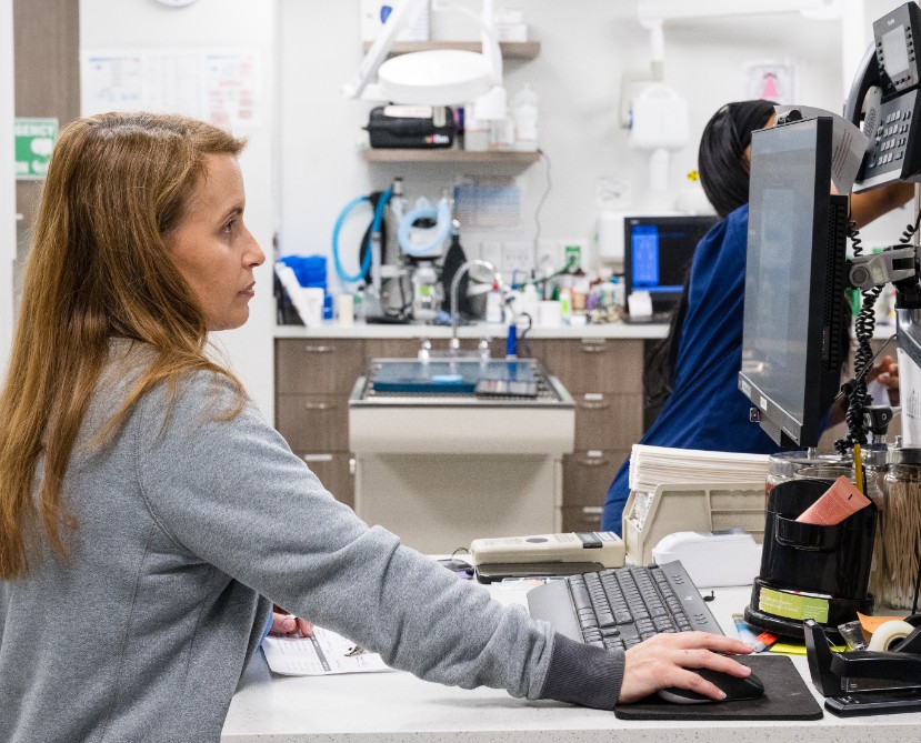 Staff Member Working at Computer Desk