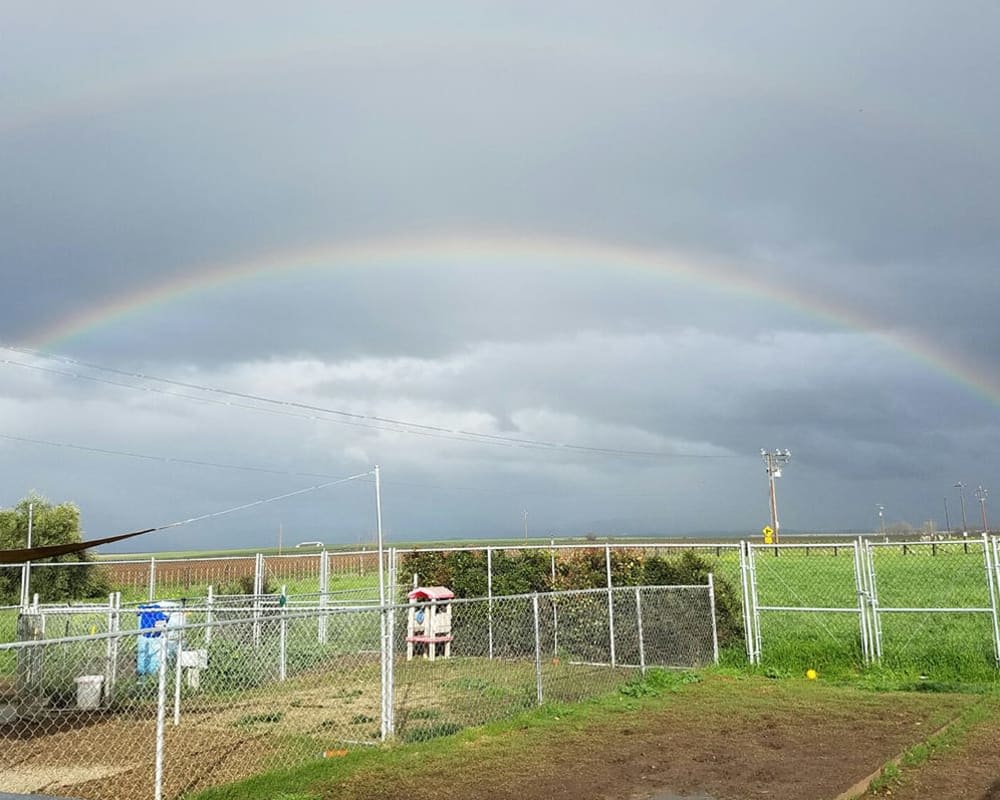 Exterior of University Pet Resort