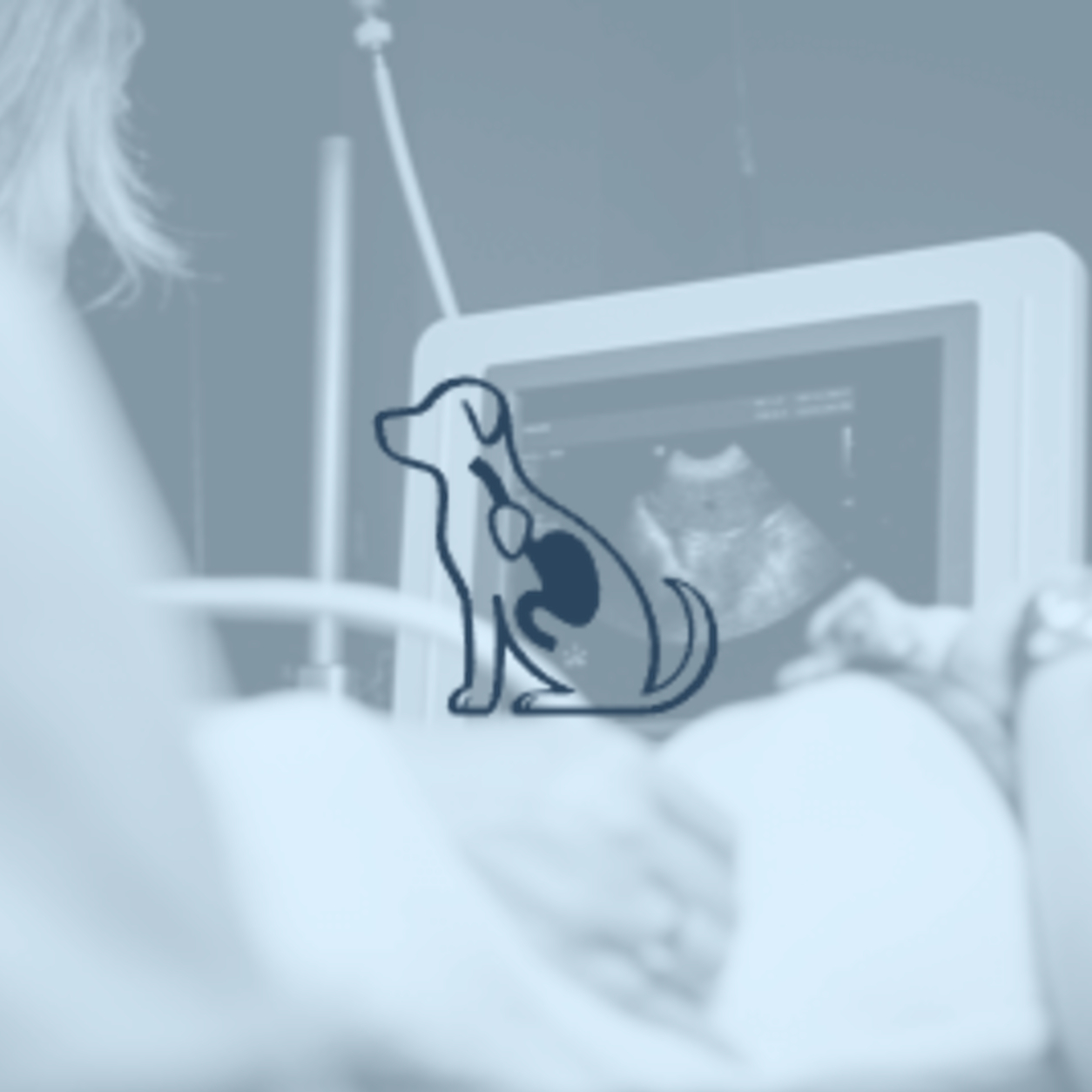 Pet ultrasound on a monitor and a dog logo