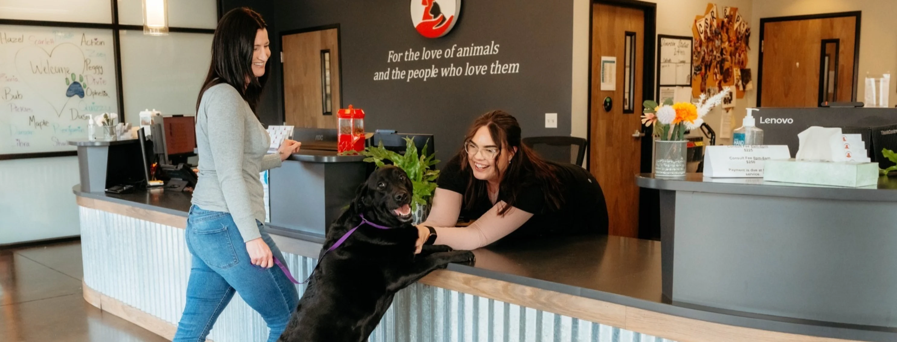 Front desk greeting a large black dog with a smile Front desk greeting a large black dog with a smile