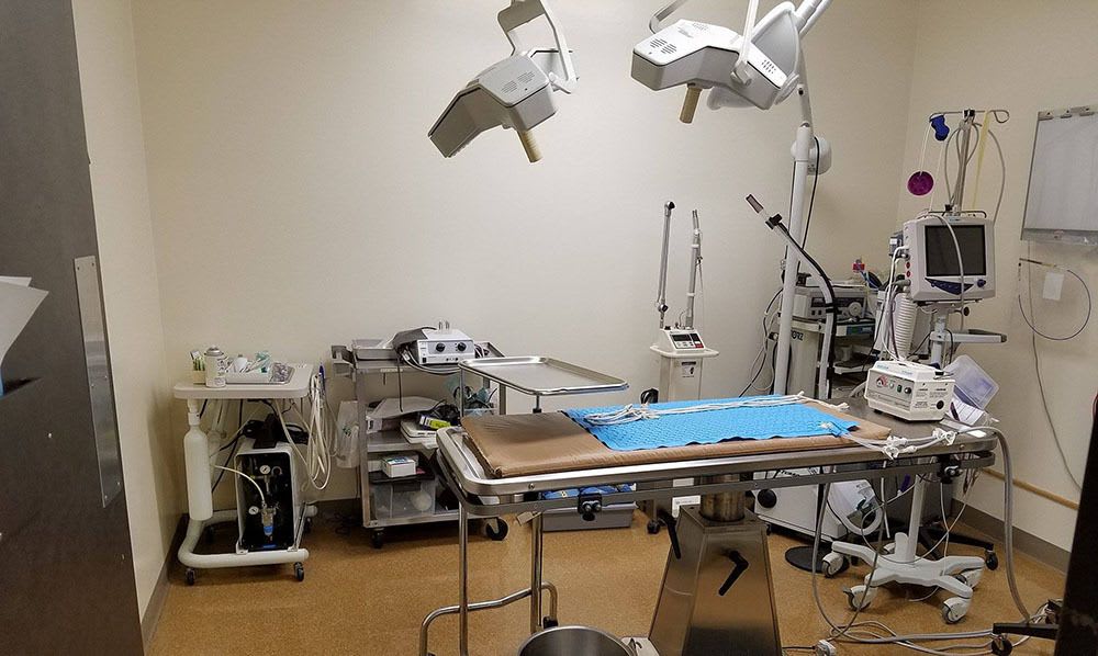 Surgery Area