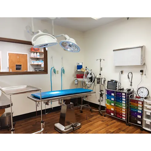 Surgery Room at Eastern Shore Animal Hospital Surgery Room at Eastern Shore Animal Hospital