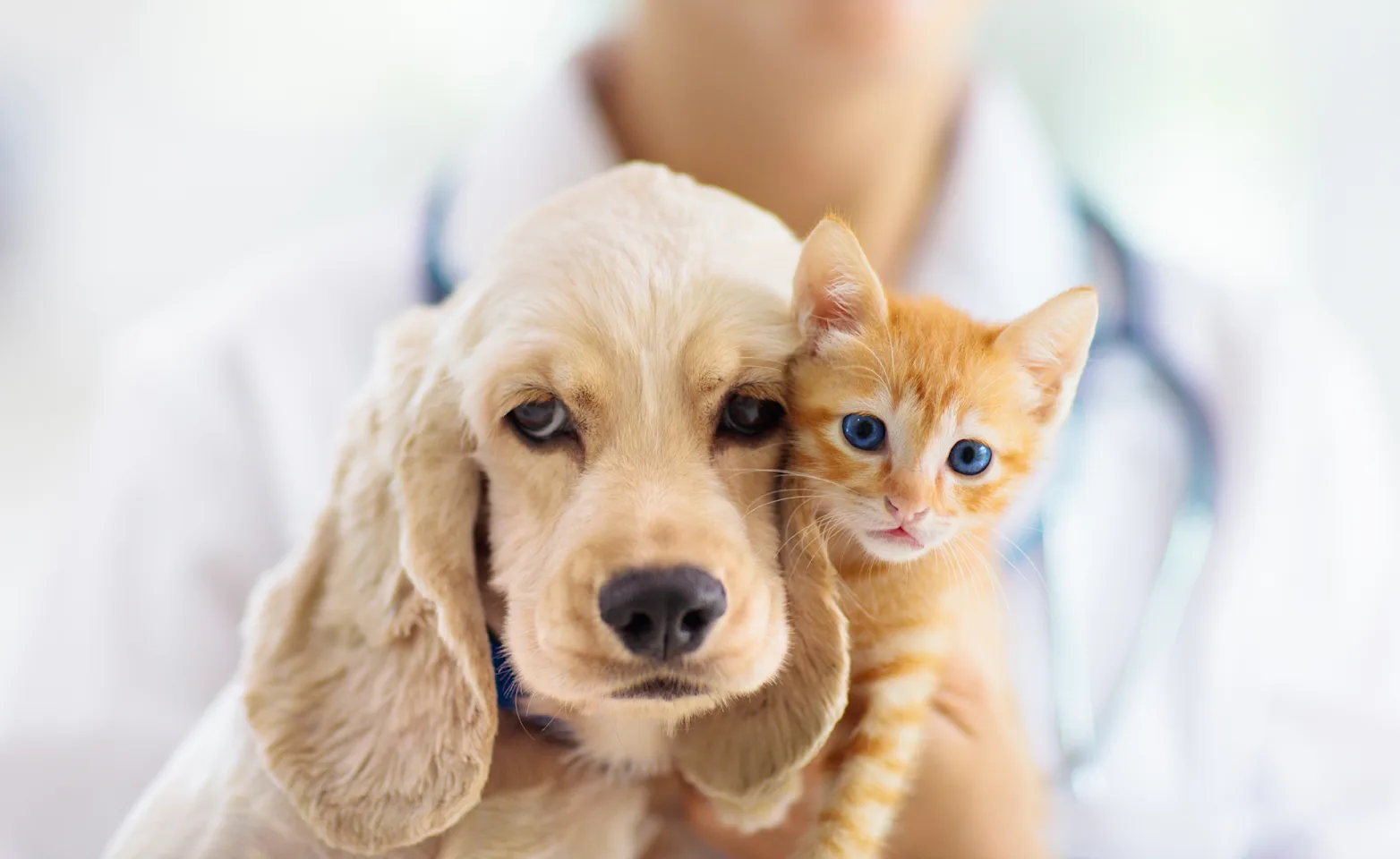 Care You Can Count On Care You Can Count On