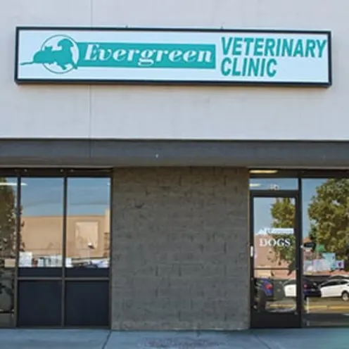 Front view of Evergreen Veterinary Clinic. Front view of Evergreen Veterinary Clinic.