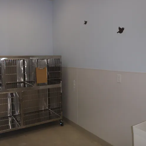 Hospital Patient Boarding Hospital Patient Boarding