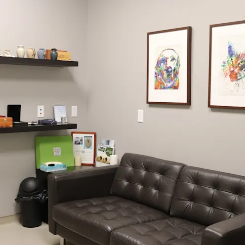 Comfort Room Comfort Room