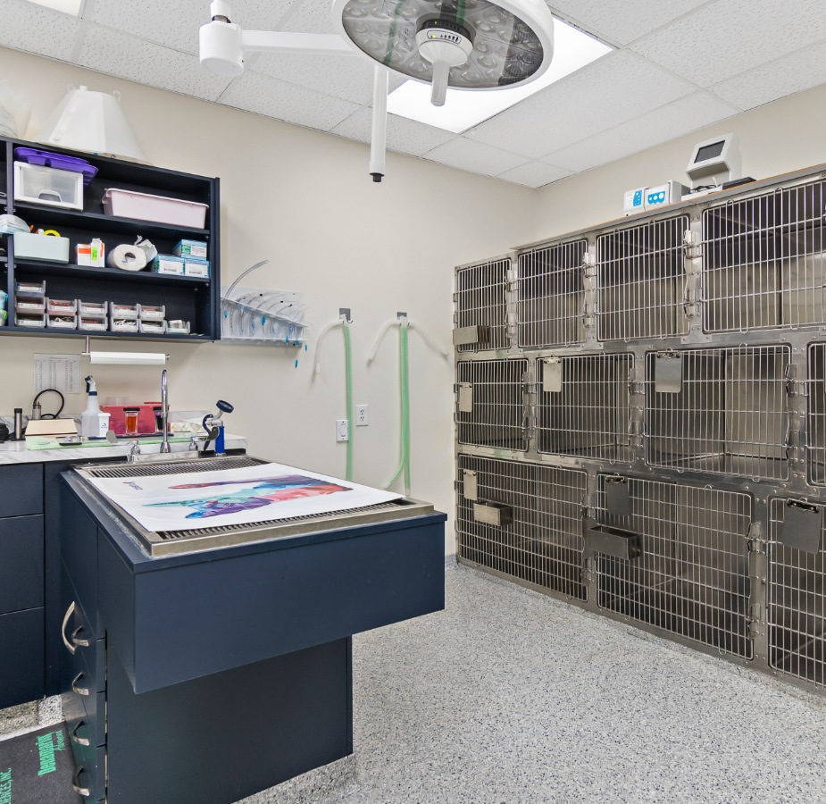 Exam Room and Kennels