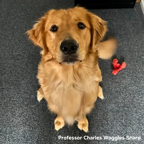 Professor Charles Waggles Sharp Professor Charles Waggles Sharp