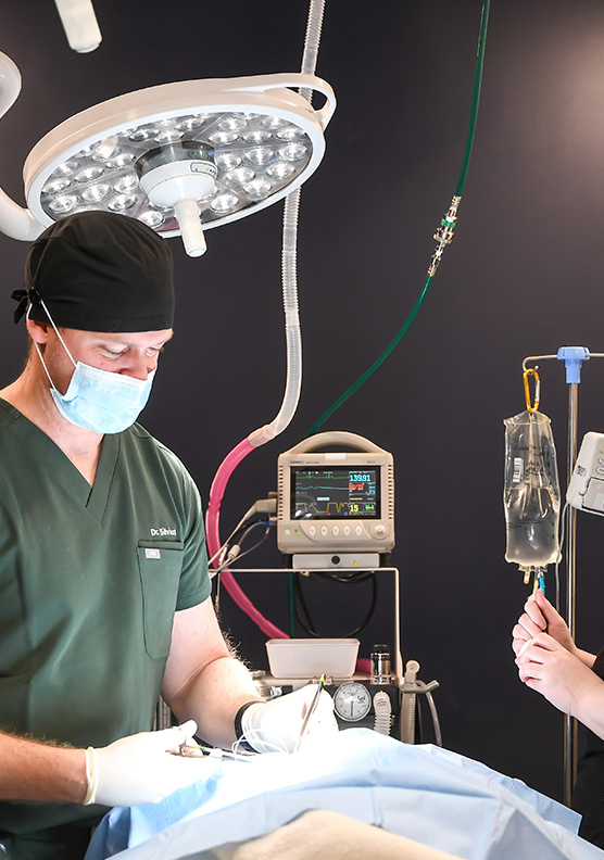 A doctor conducting a surgical procedure on an animal