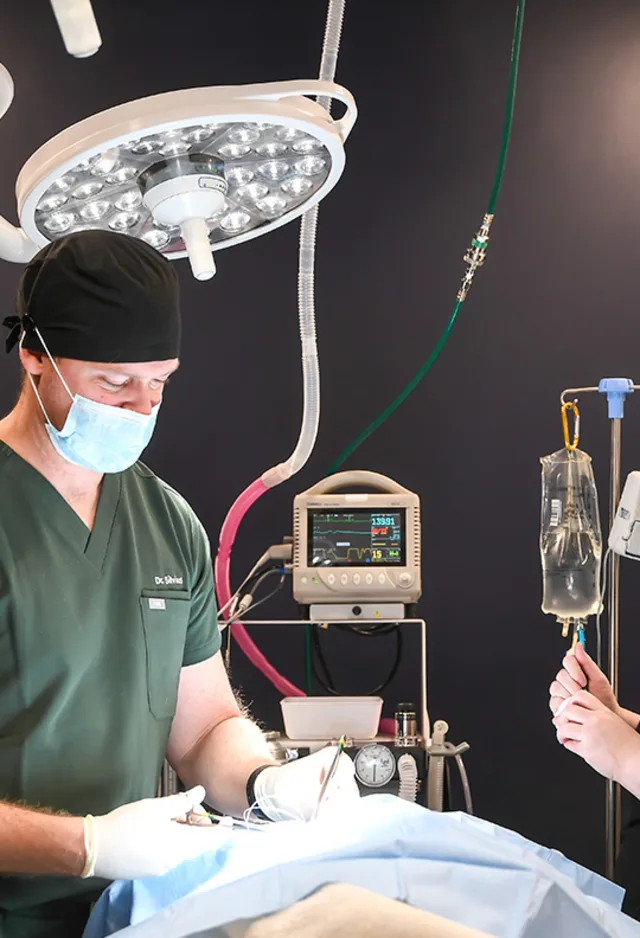 A doctor conducting a surgical procedure on an animal A doctor conducting a surgical procedure on an animal