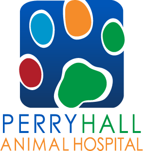 Homepage | Perry Hall Animal Hospital
