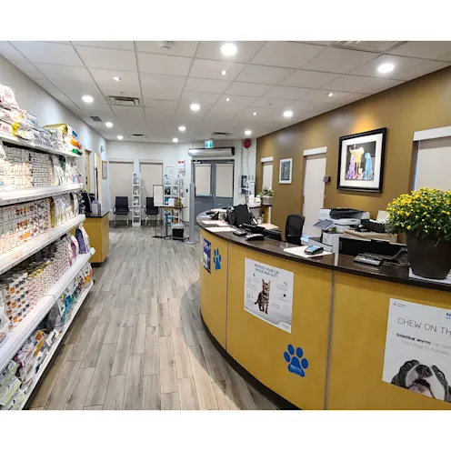 Reception Area Reception Area