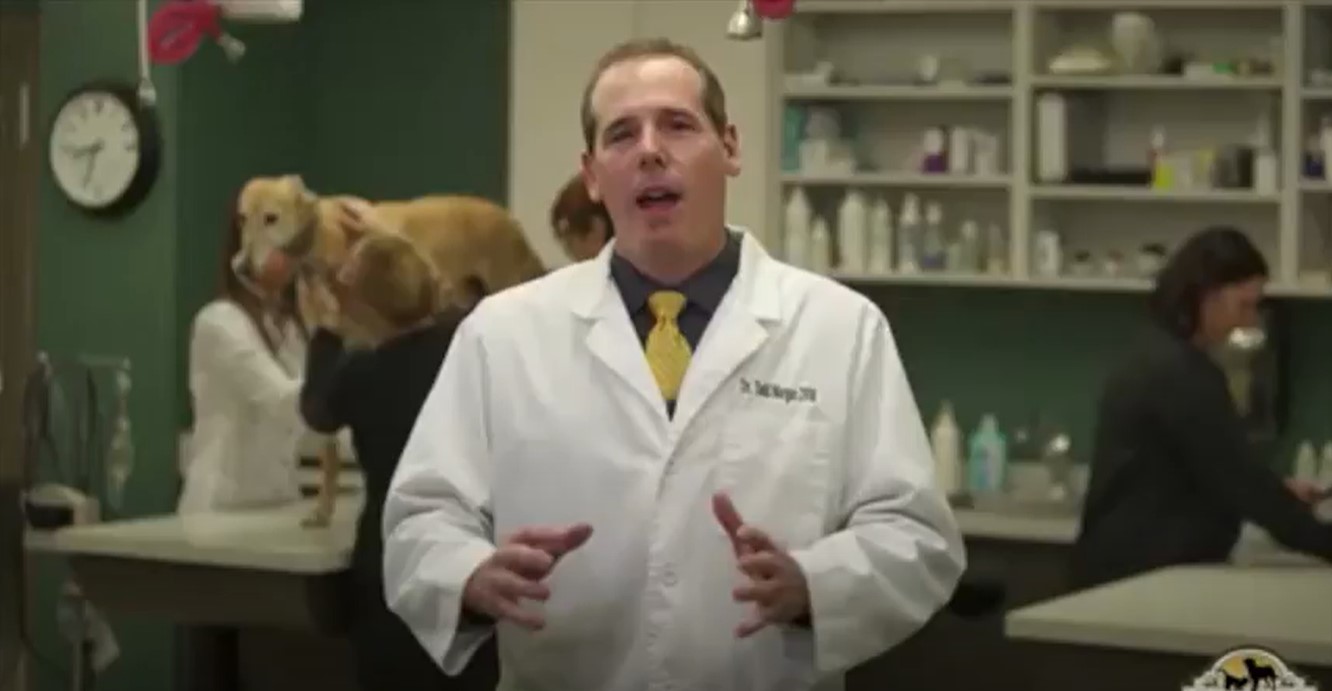 Morgan Animal Hospital Welcome Video