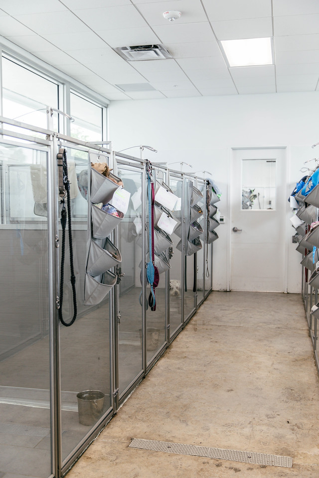 Pompano Pet Lodge Dog Suites 2