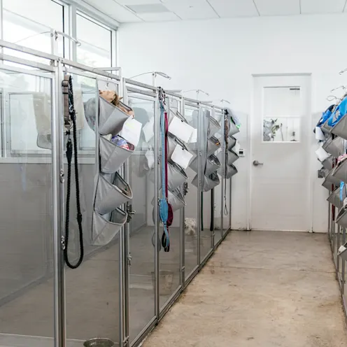 Pompano Pet Lodge Dog Suites 2 Pompano Pet Lodge Dog Suites 2