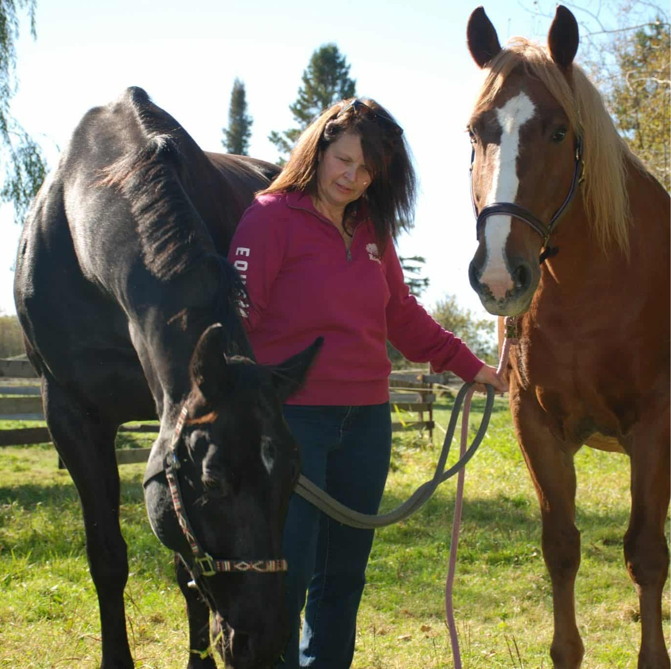 Staff photo of Connie hugging a dog.