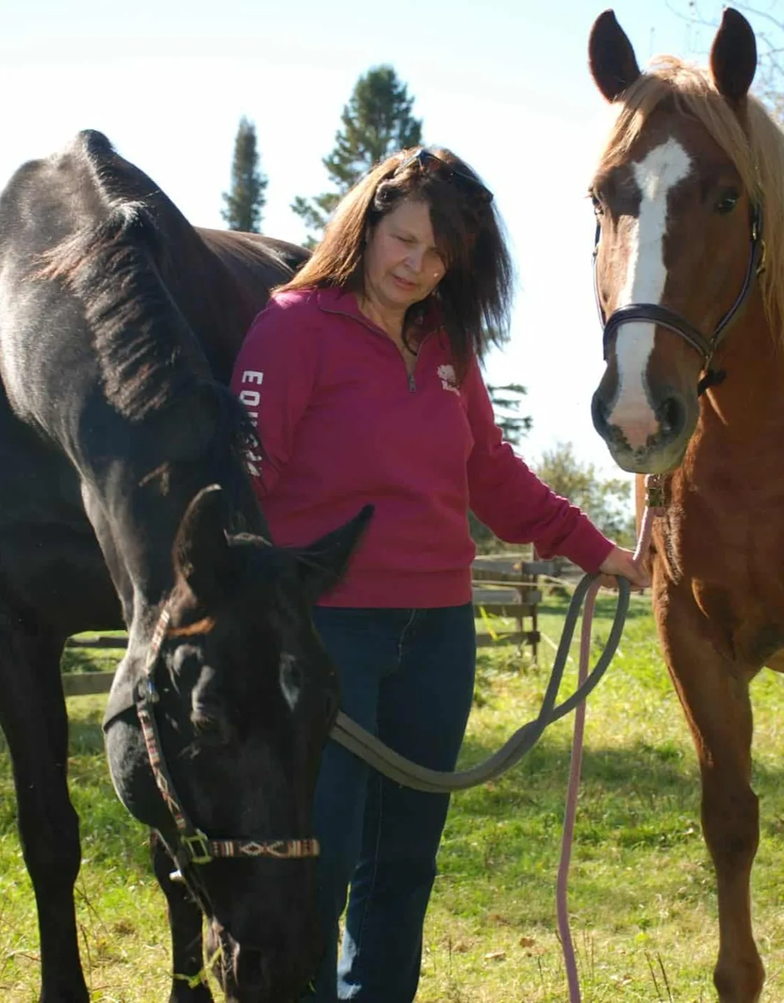 Staff photo of Connie hugging a dog. Staff photo of Connie hugging a dog.