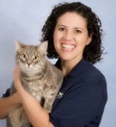 Aby from Countryside Animal Hospital of Tempe Aby from Countryside Animal Hospital of Tempe