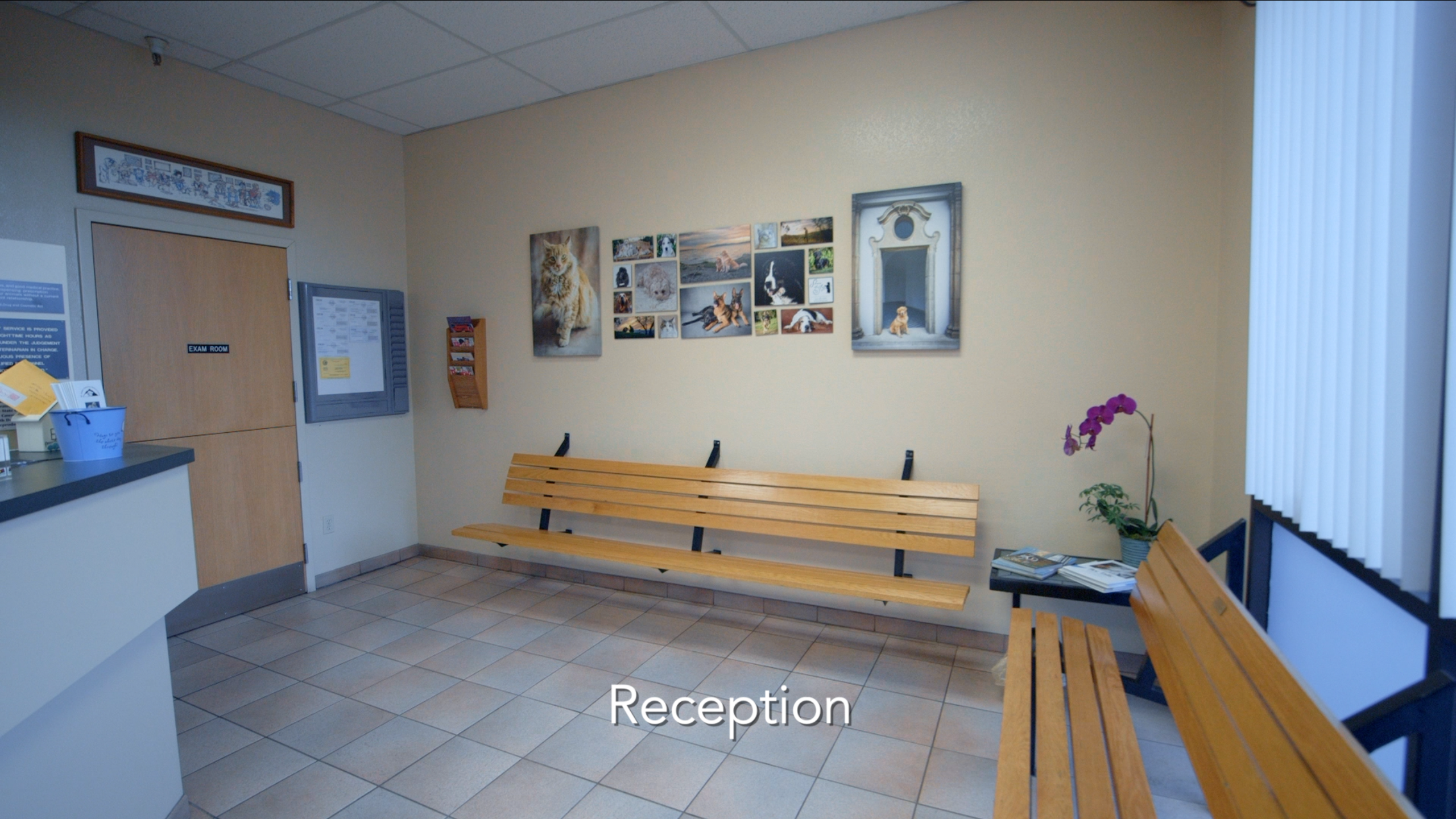 Mt. Diablo Veterinary Medical Center 0124 - Reception