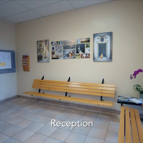 Mt. Diablo Veterinary Medical Center 0124 - Reception Mt. Diablo Veterinary Medical Center 0124 - Reception