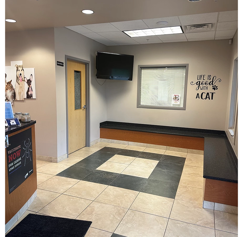 Additional Waiting Area at Winding Creek Animal Hospital