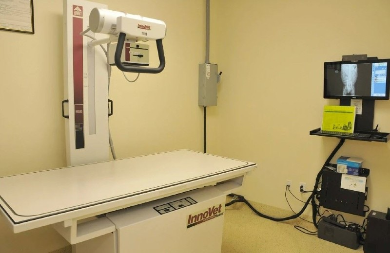 Our Digital Radiology suite