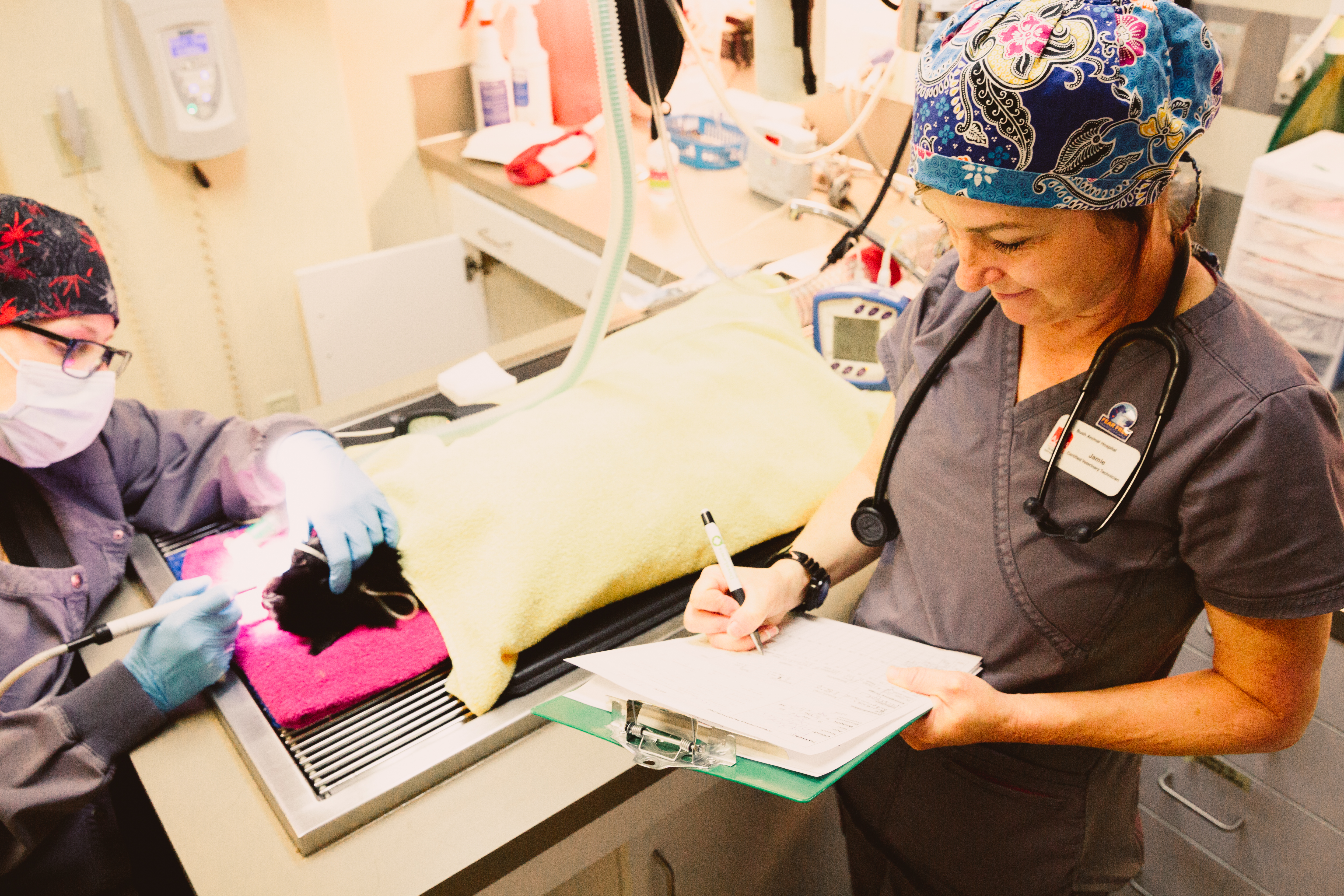 Staff performing dental cleaning