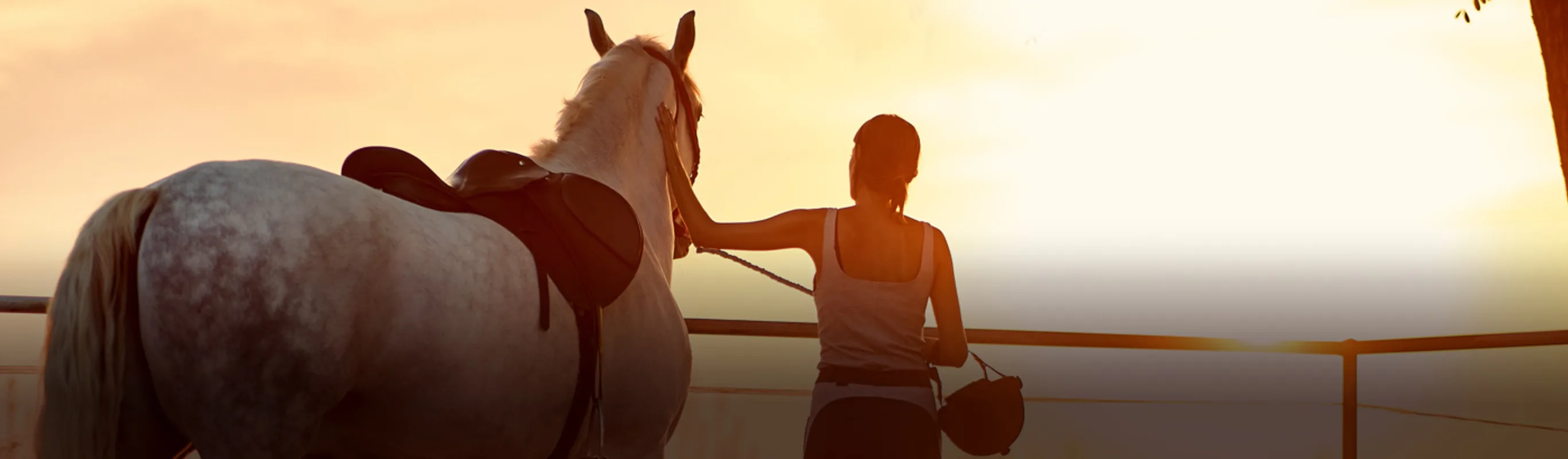 A woman standing outside next to a white horse looking into the sunset