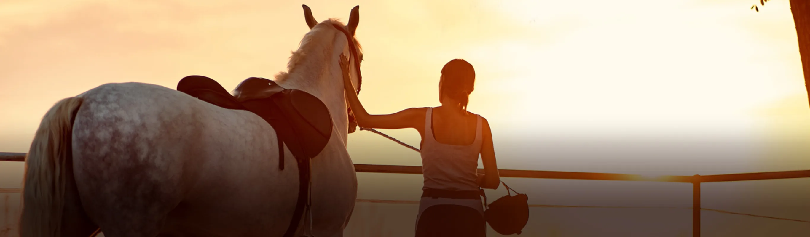 A woman standing outside next to a white horse looking into the sunset A woman standing outside next to a white horse looking into the sunset