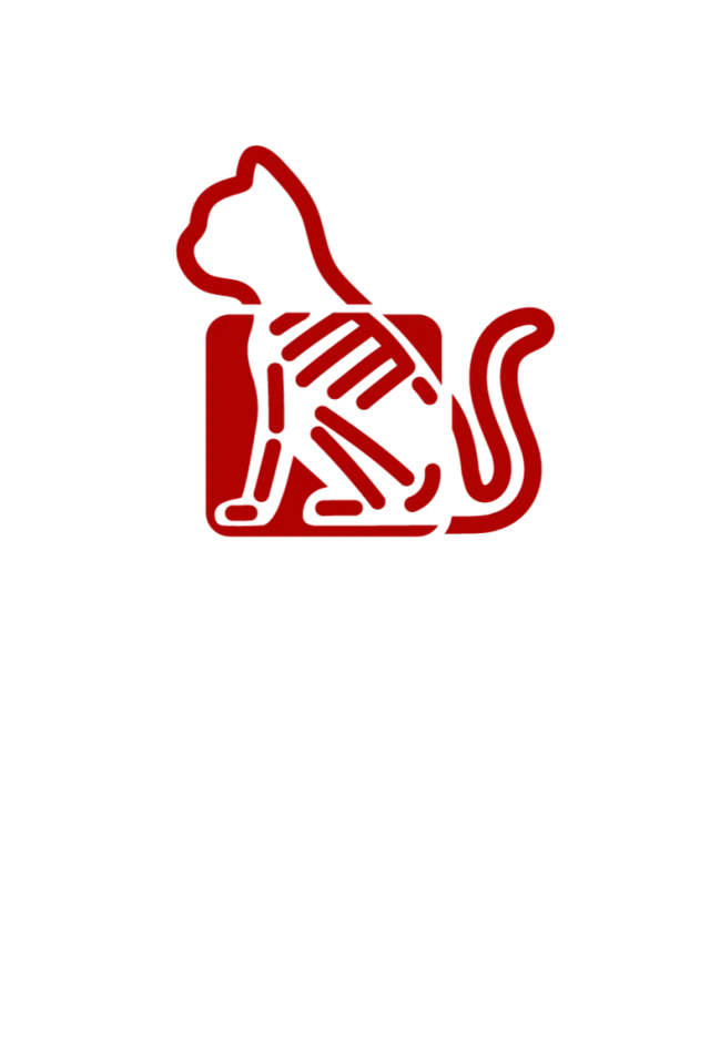 Radiology Icon Radiology Icon