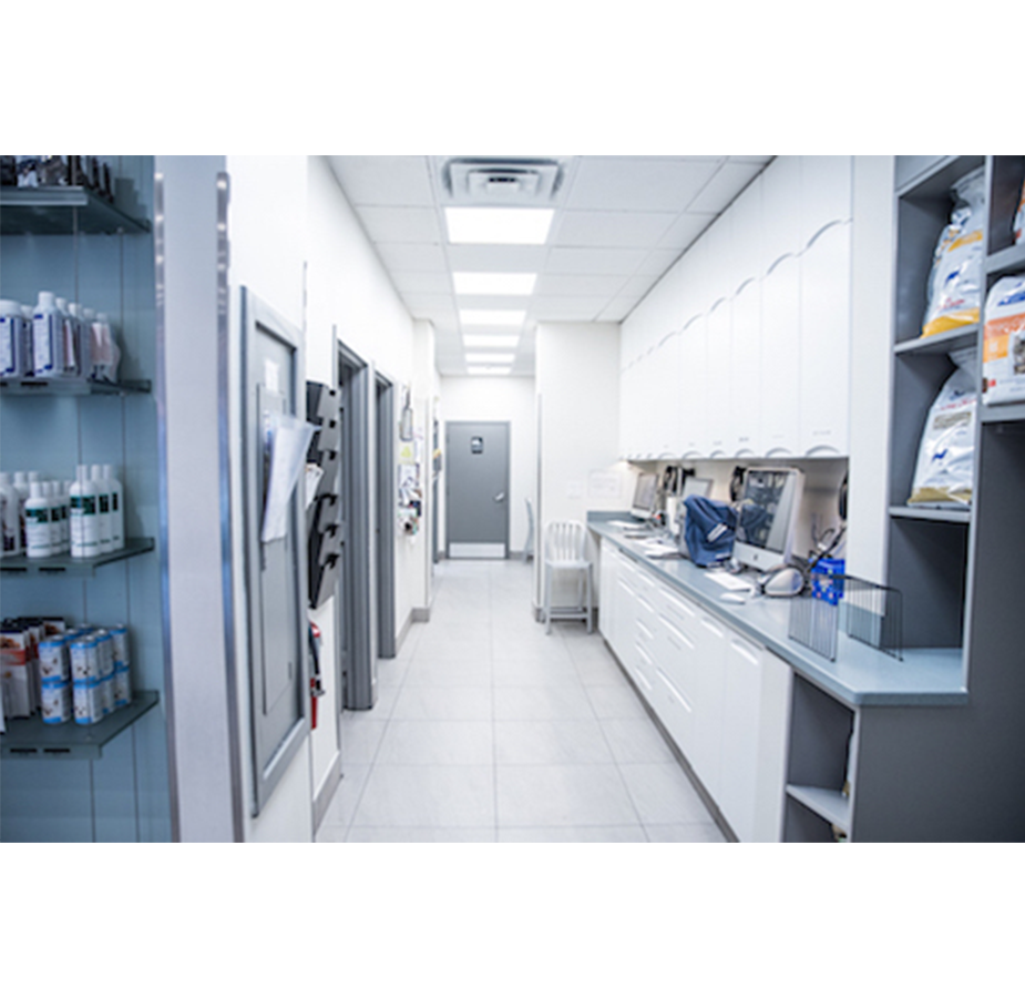 Interior hallway of Animal Kind Veterinary Hospital