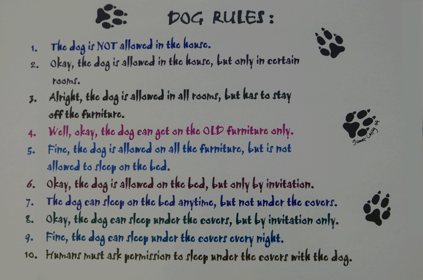 Rules for Clinic