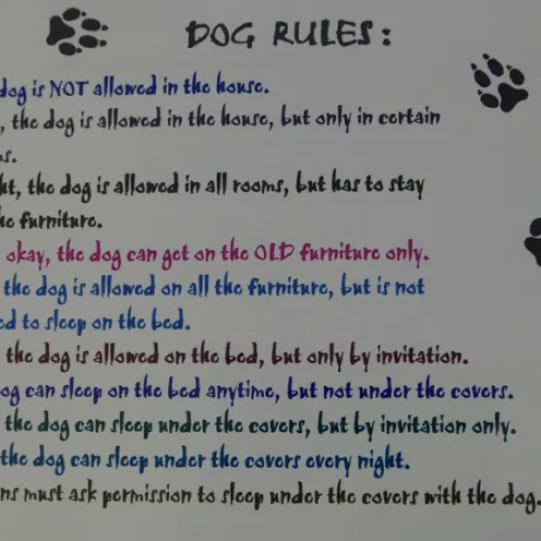 Rules for Clinic