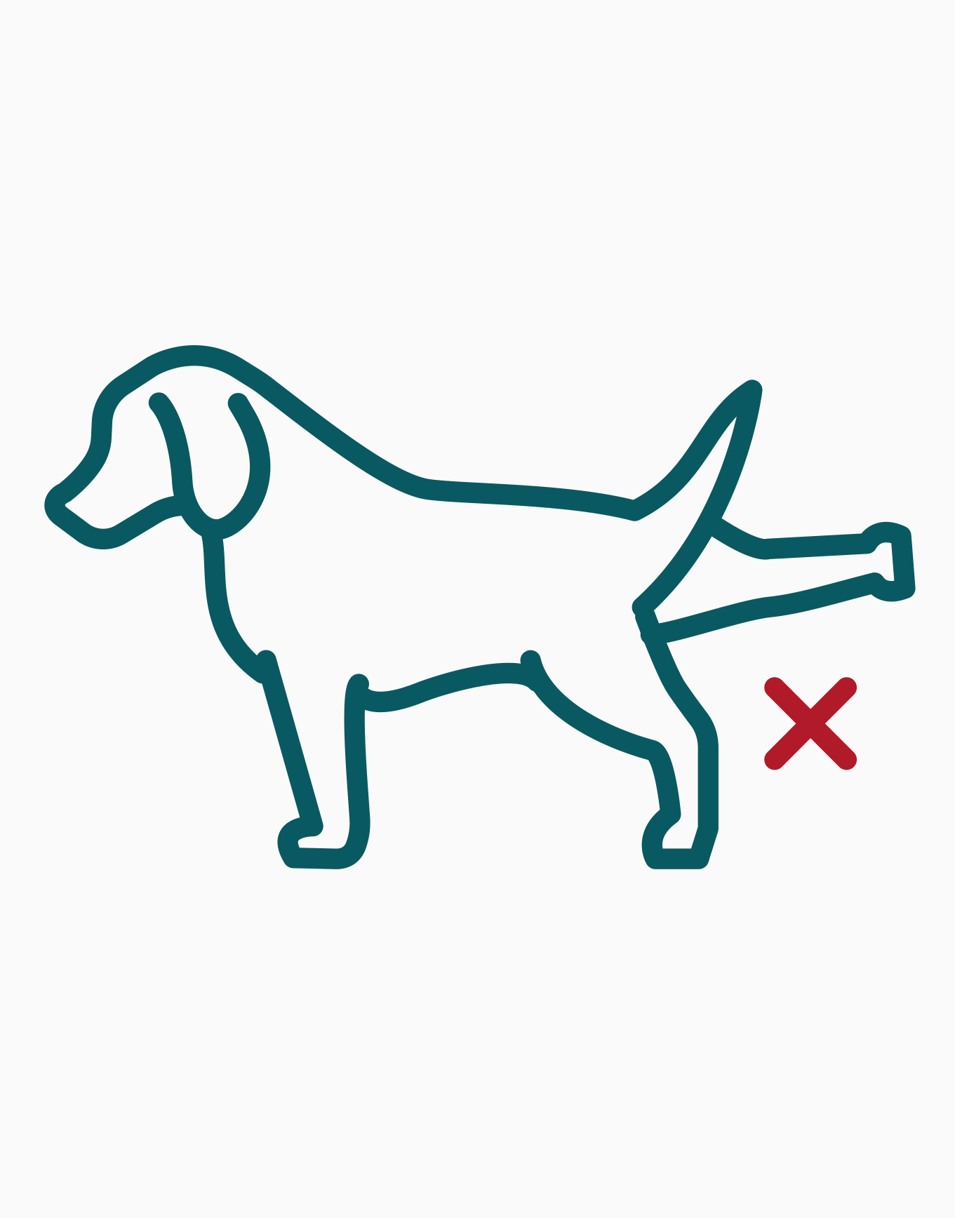 dog Unable to Urinate icon