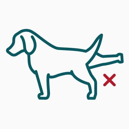dog Unable to Urinate icon