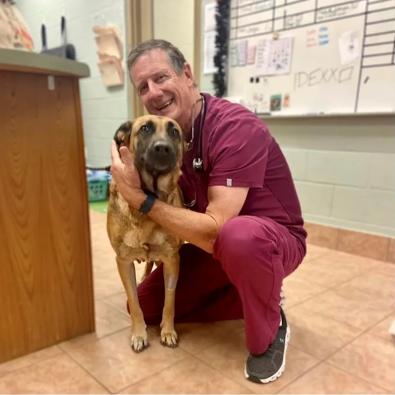 Dr. Bob Cunningham Dr. Bob Cunningham