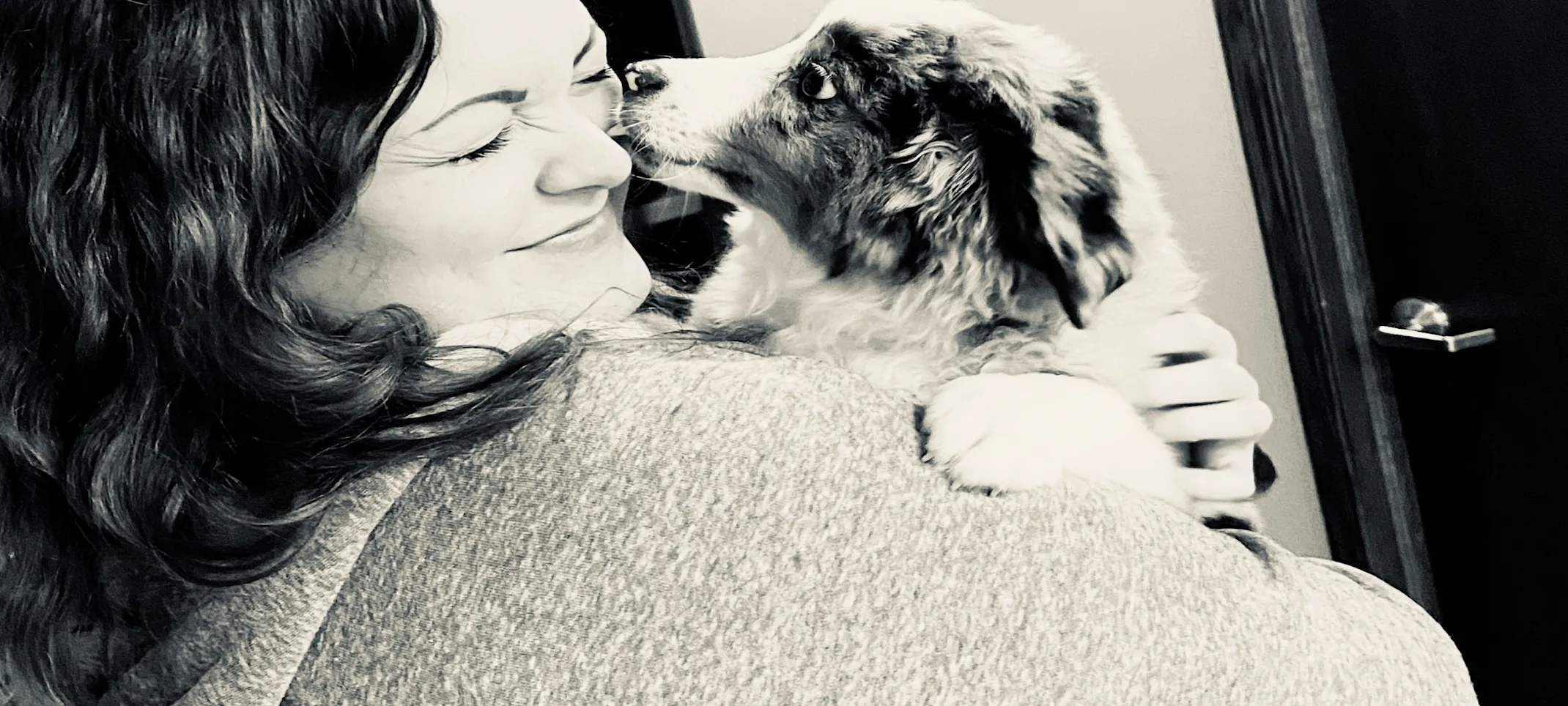 puppy licking staff member's face puppy licking staff member's face