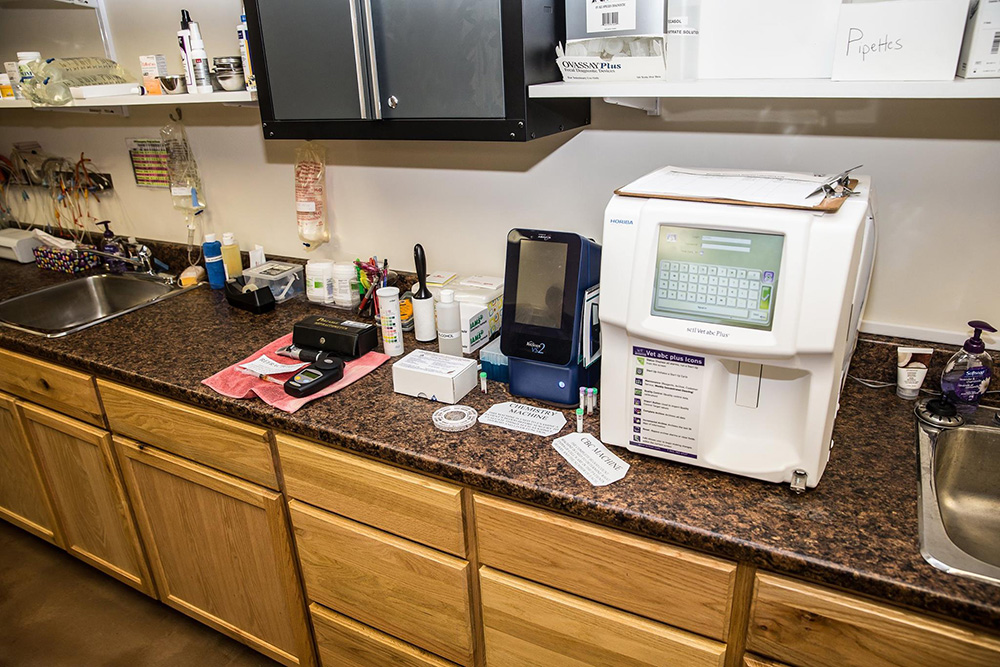 Burnside Veterinary Hospital Lab