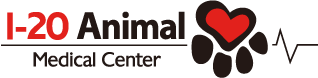 Homepage | I-20 Animal Medical Center